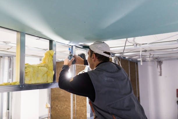 Best Eco-Friendly Insulation in Mingo Junction, OH