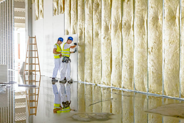 Best Insulation Maintenance and Repair in Mingo Junction, OH